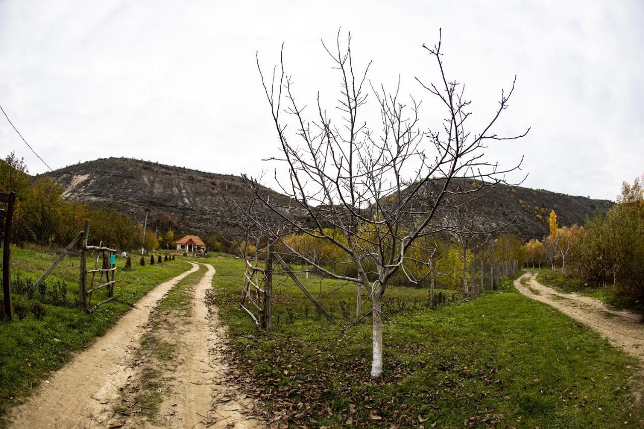 Casa Agricultorului Varzari Butuceny Exterior foto