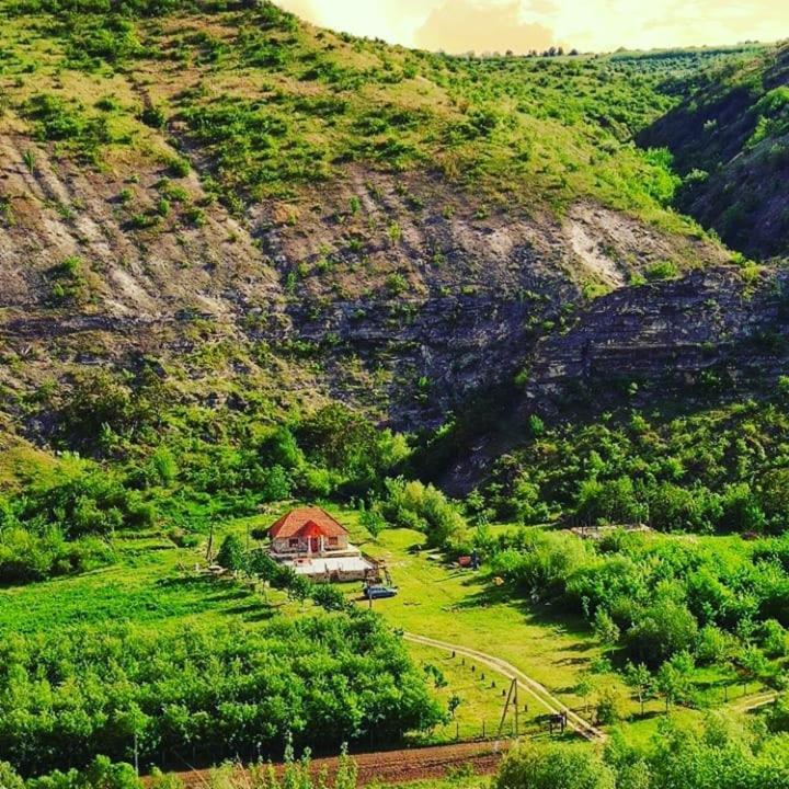 Casa Agricultorului Varzari Butuceny Exterior foto